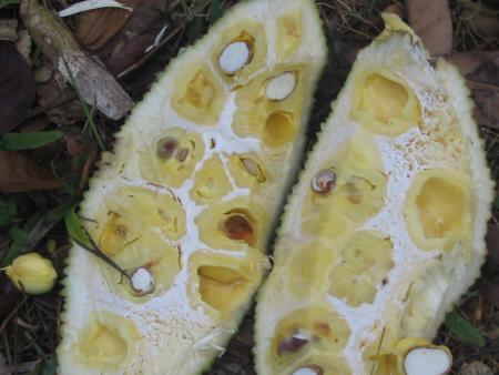 Hhhhmmmm!!!...... �a me donne l'appetit