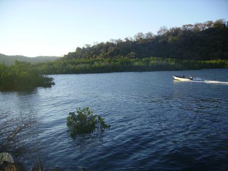 on va faire un tour � travers les mangroves, ok?