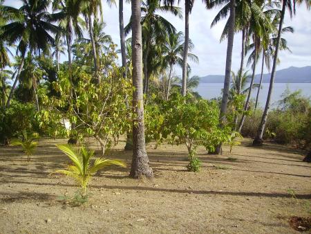 Parc public de Mahabou (MDZ) suite, suite et re-suite...