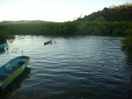...juste pour vous dire qu'il faut les prot�ger, car eux ils nous prot�gent sans qu'on soit conscient...