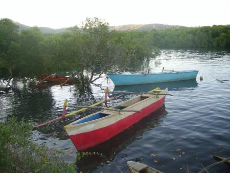 ...Et donc, nous avons avons une vari�t� de poissons et autres sp�cimens, et oui oui! 