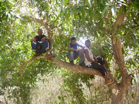 Les 3 mousquetaires, 