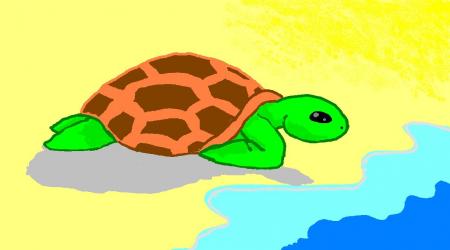 Tortue de mer